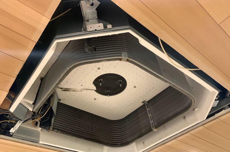 image1 (4)